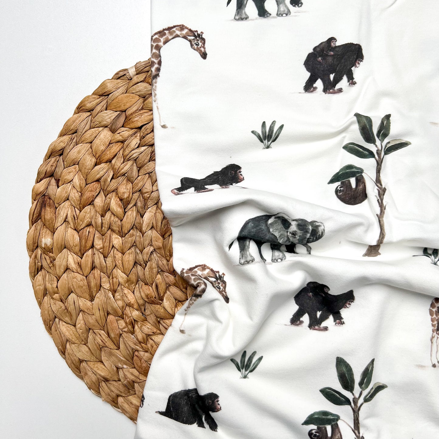 French Terry Safaritiere